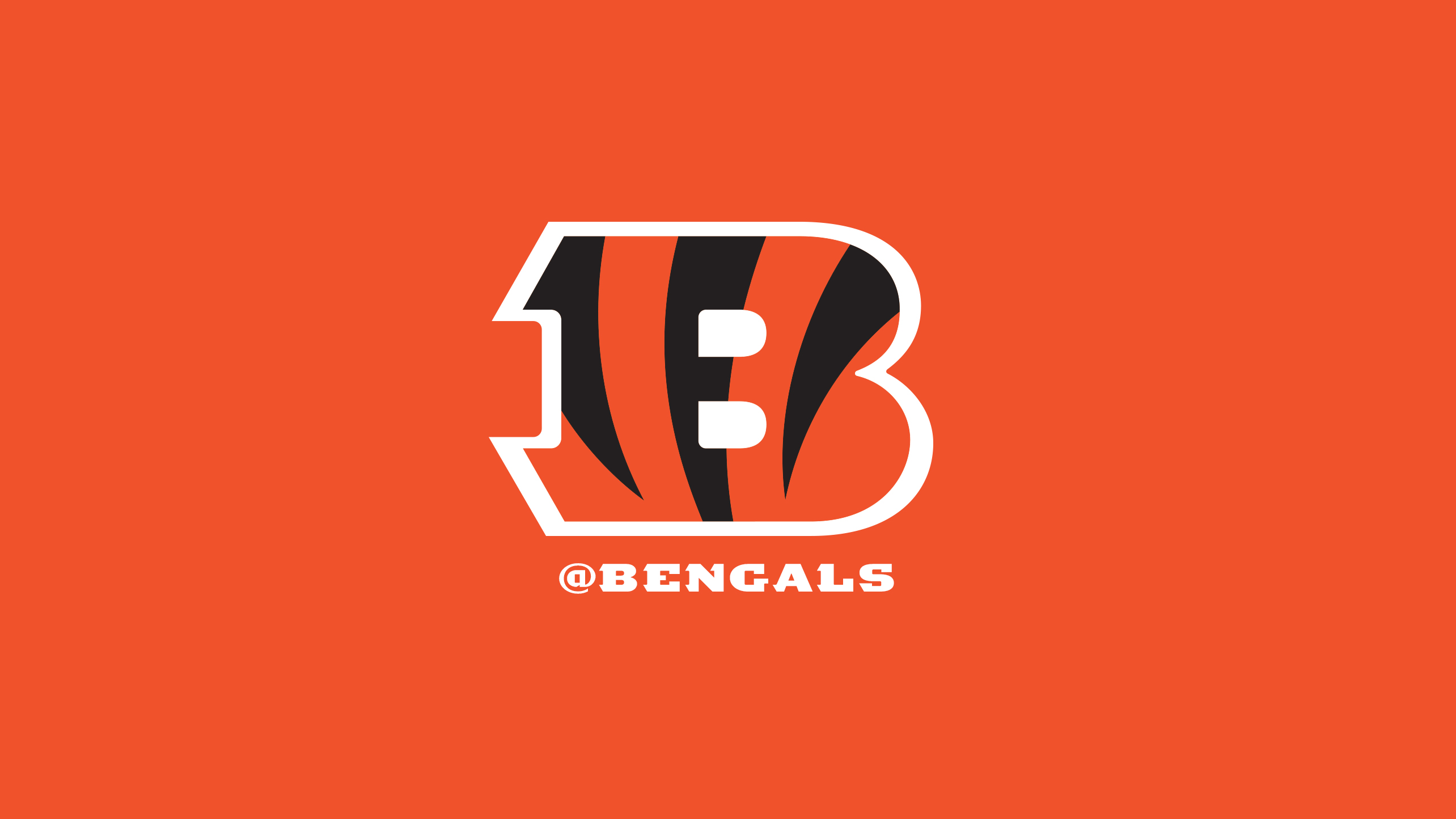 Cincinnati Bengals Fans Wallpaper   Bengalscom 2568x1444