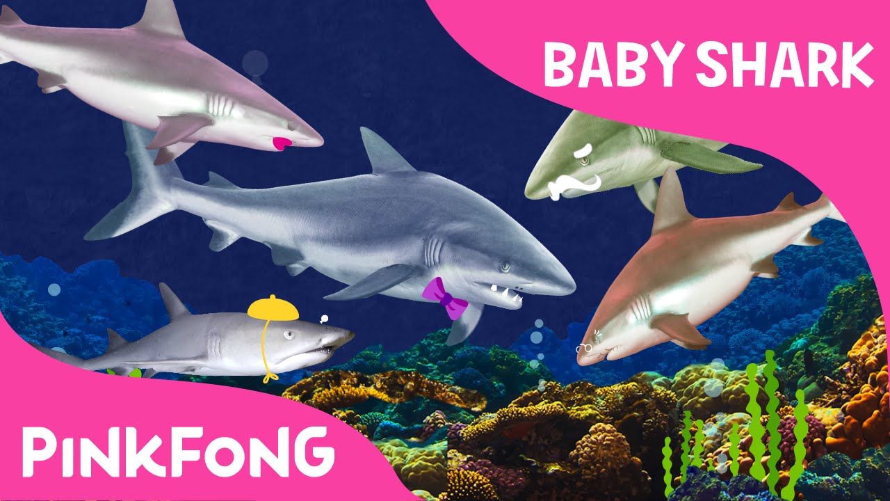 I M A Real Baby Shark Animal Songs Pinkfong