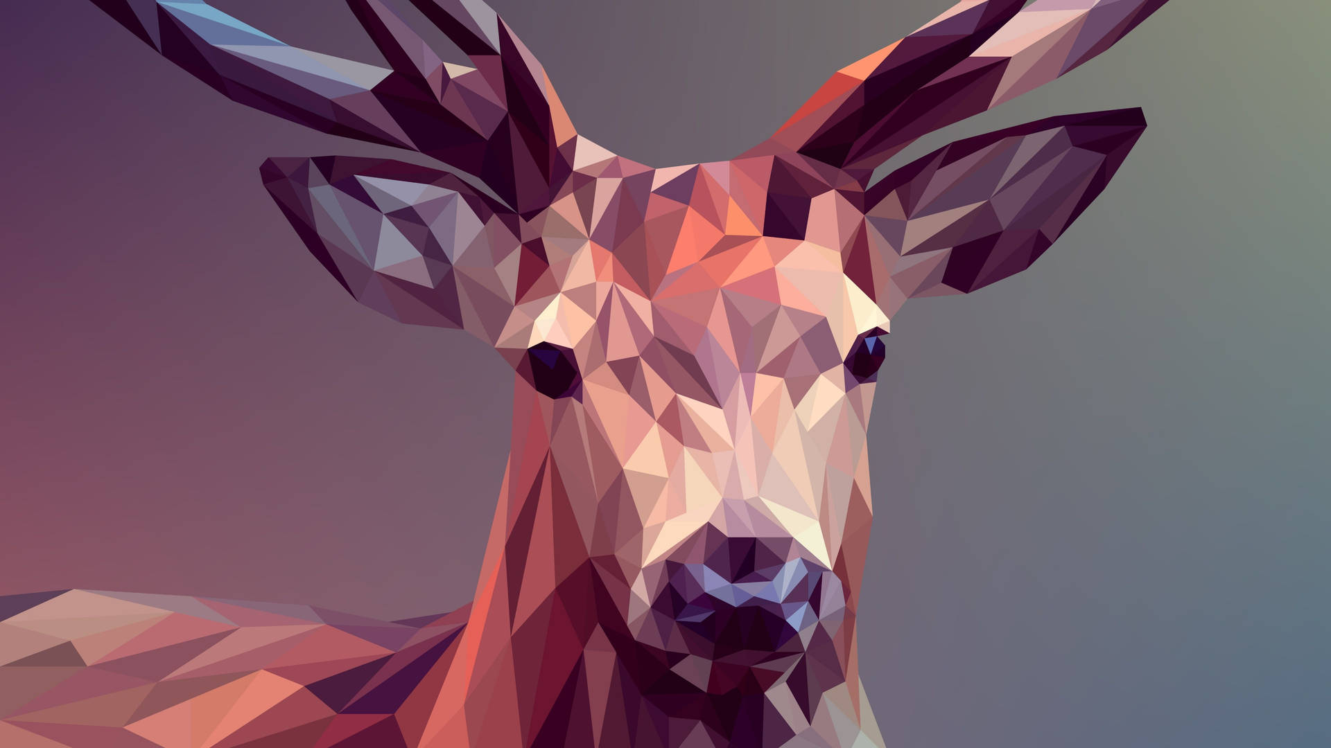 Polygon Art Reindeer 2cxd1fcr27b65w1p Wallpaper