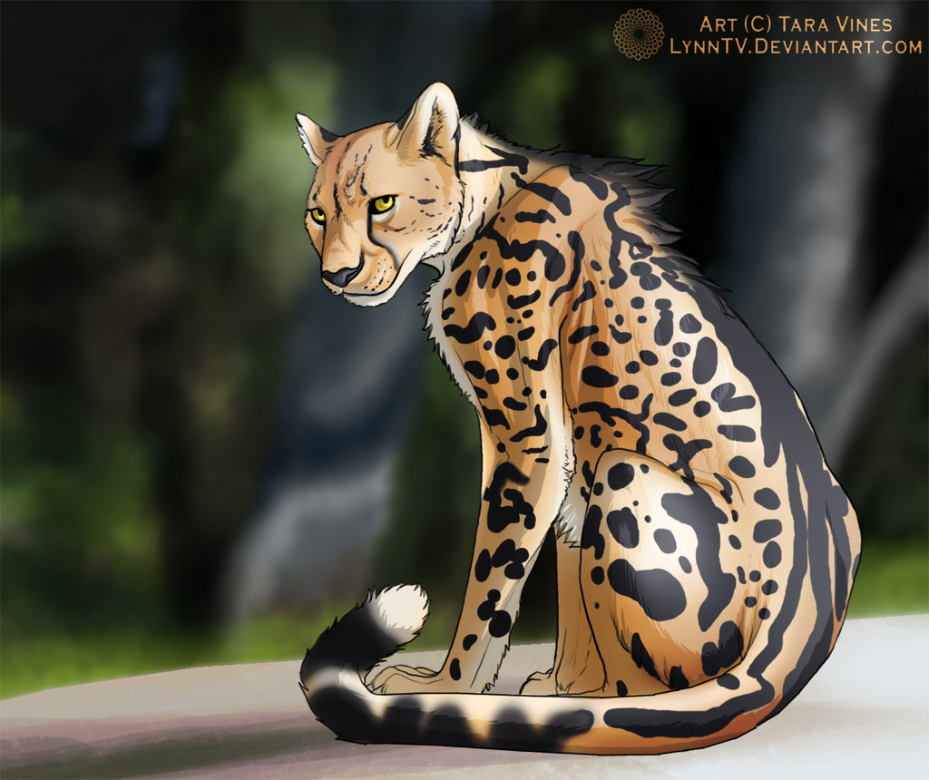 King Cheetah By Lynntv