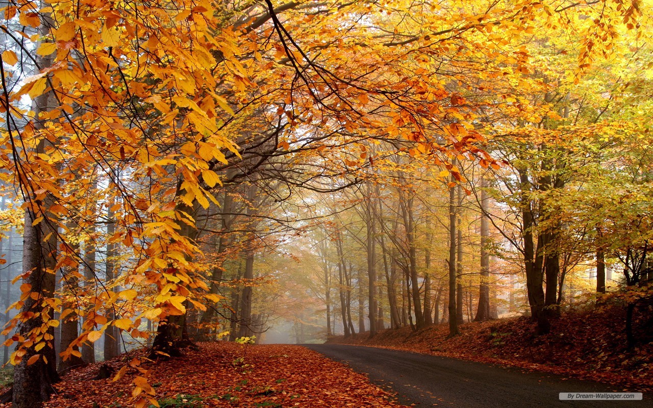 Desktop Wallpaper Fall In HD