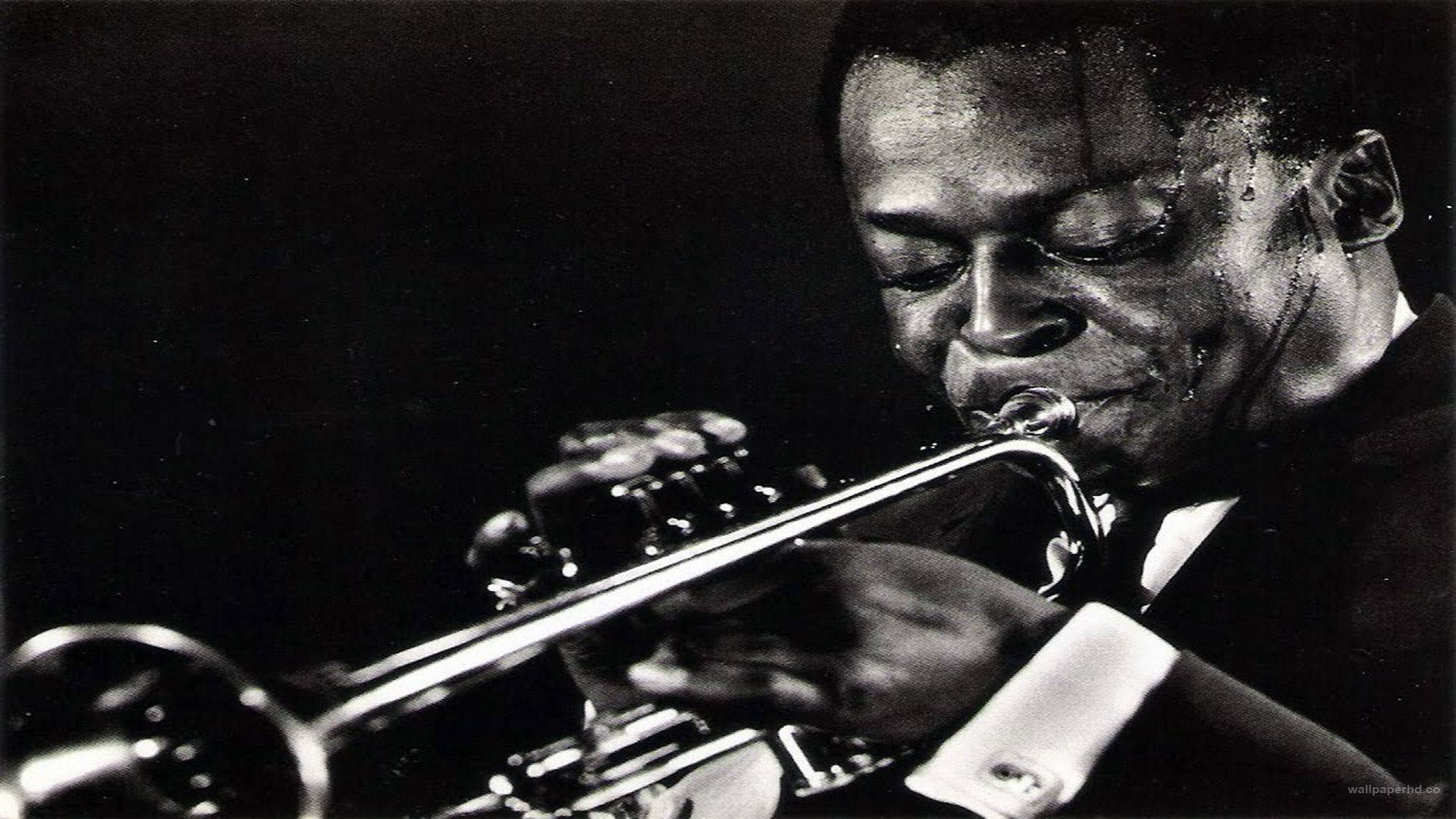 Miles Davis Wallpaper Jazz