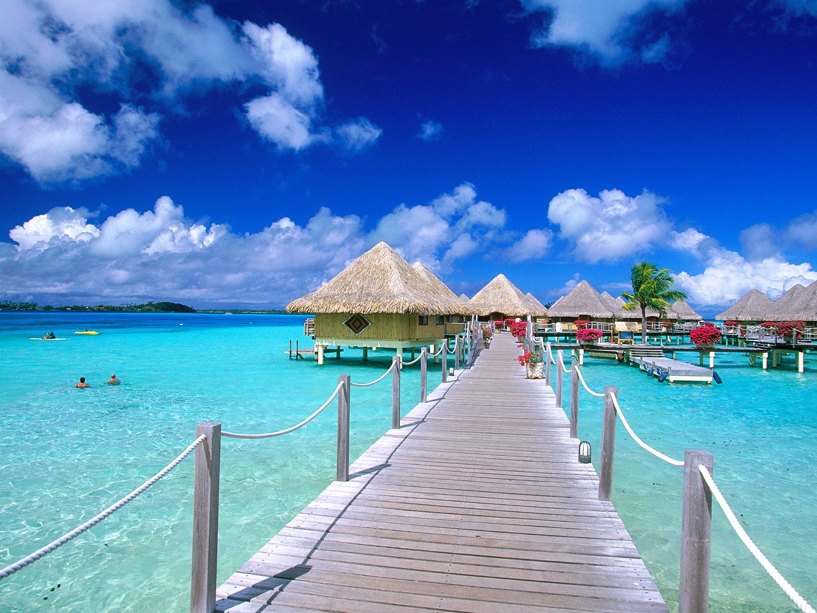 Tropical Island Beach Scenery Holiday Village Wallpaper