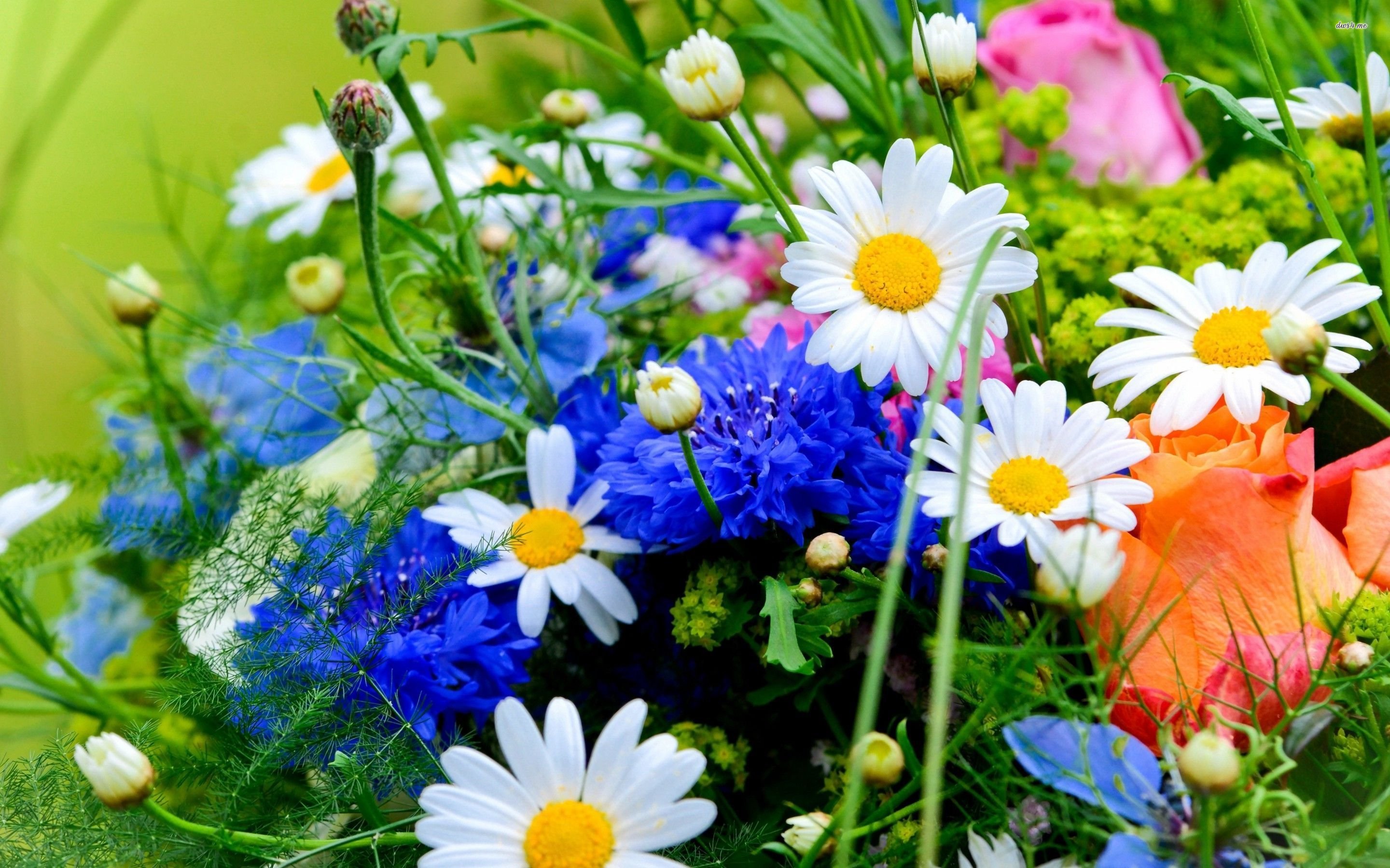 Bouquet Of Spring Flowers HD Wallpaper Desktop Background Flower