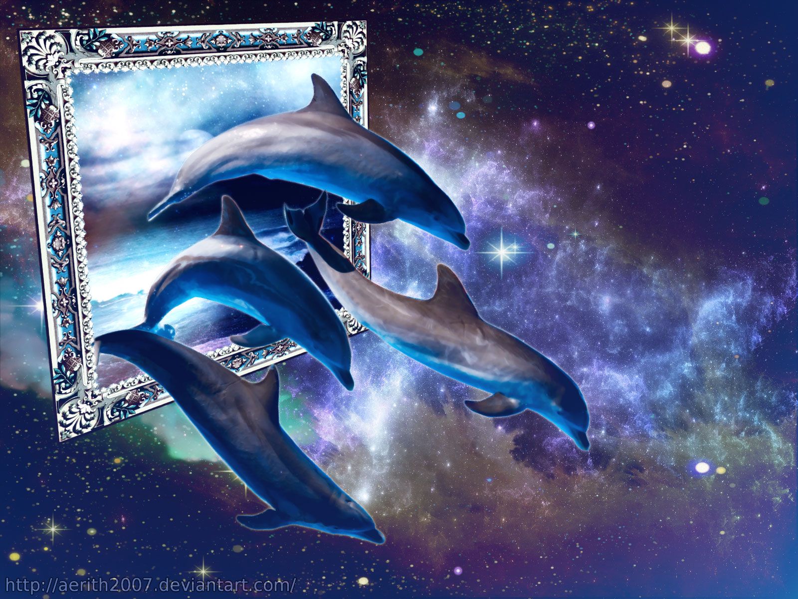 Wonderful Dolphin HD Wallpaper