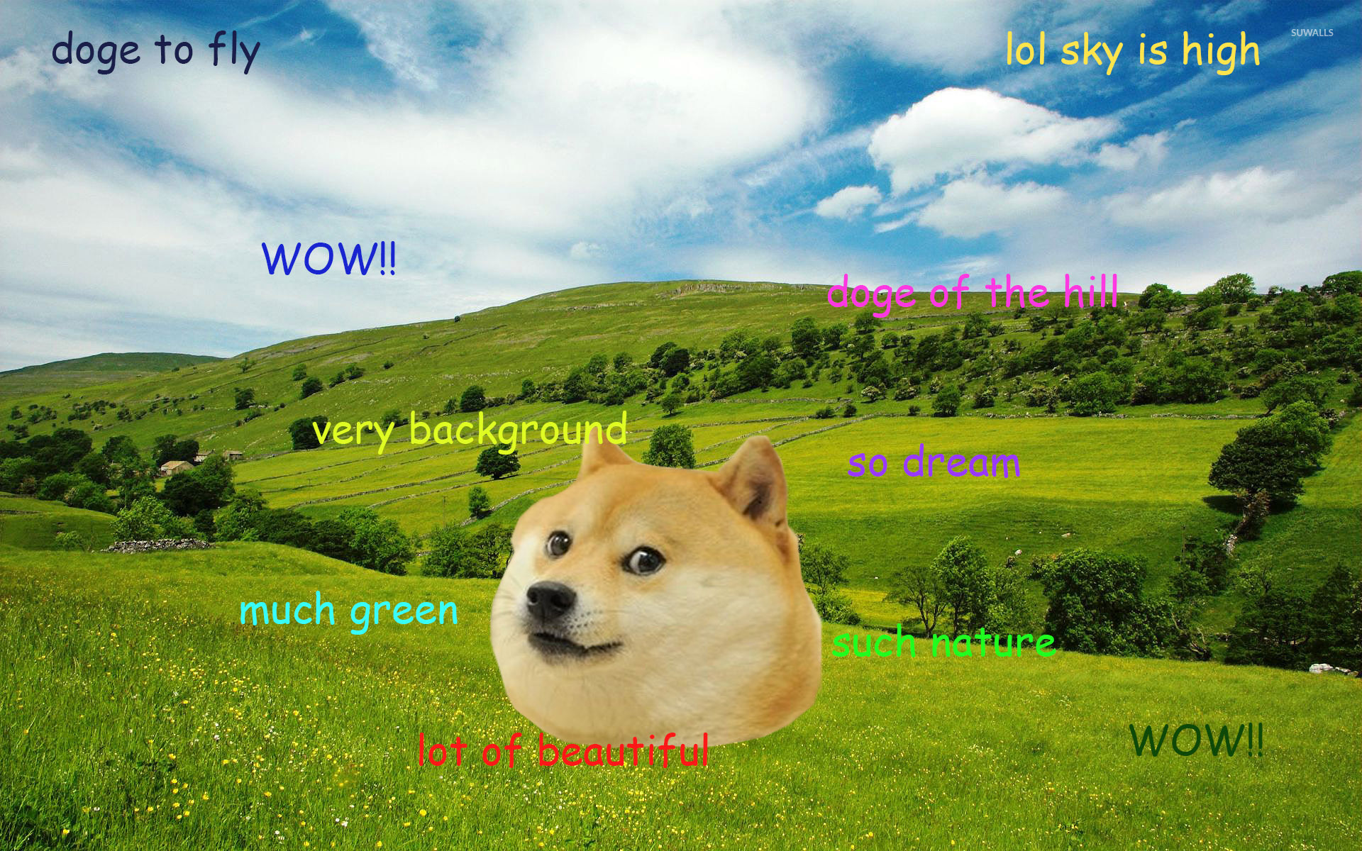 Doge Wallpaper Meme