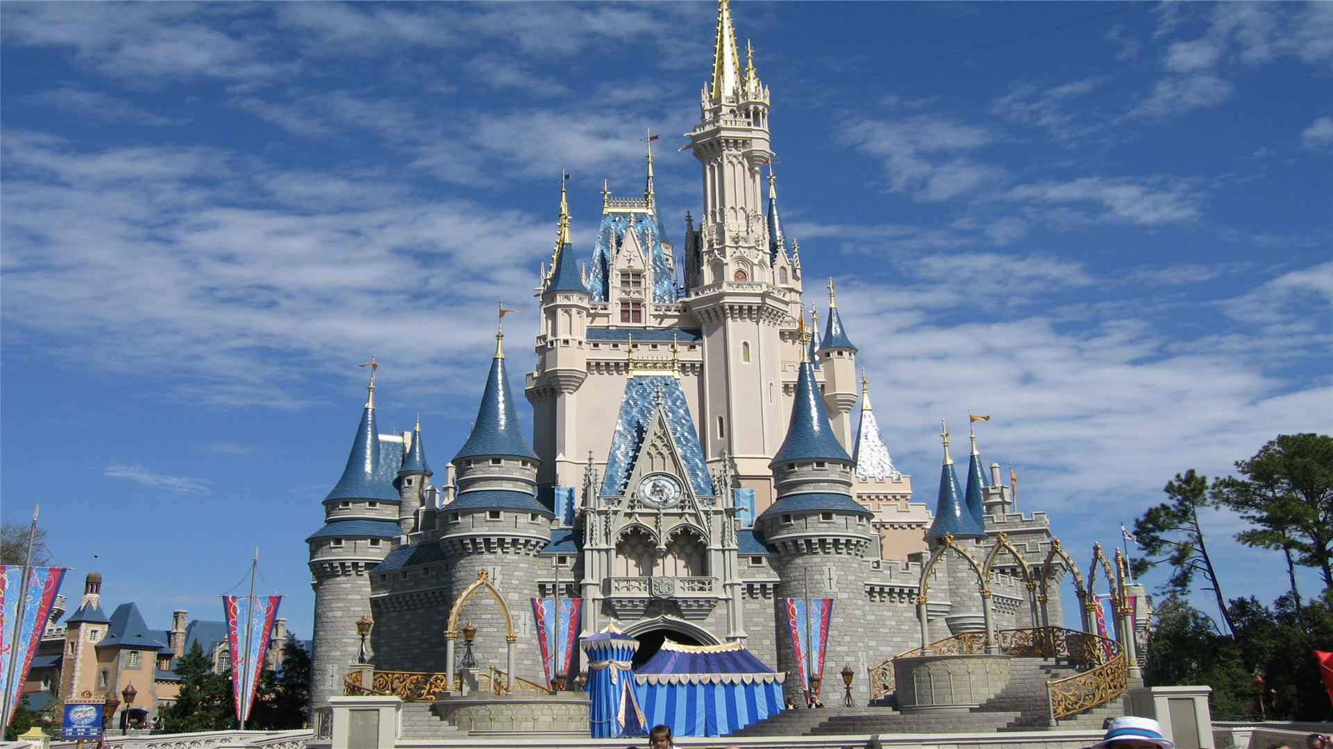 Disney World Castle Iphone Wallpaper