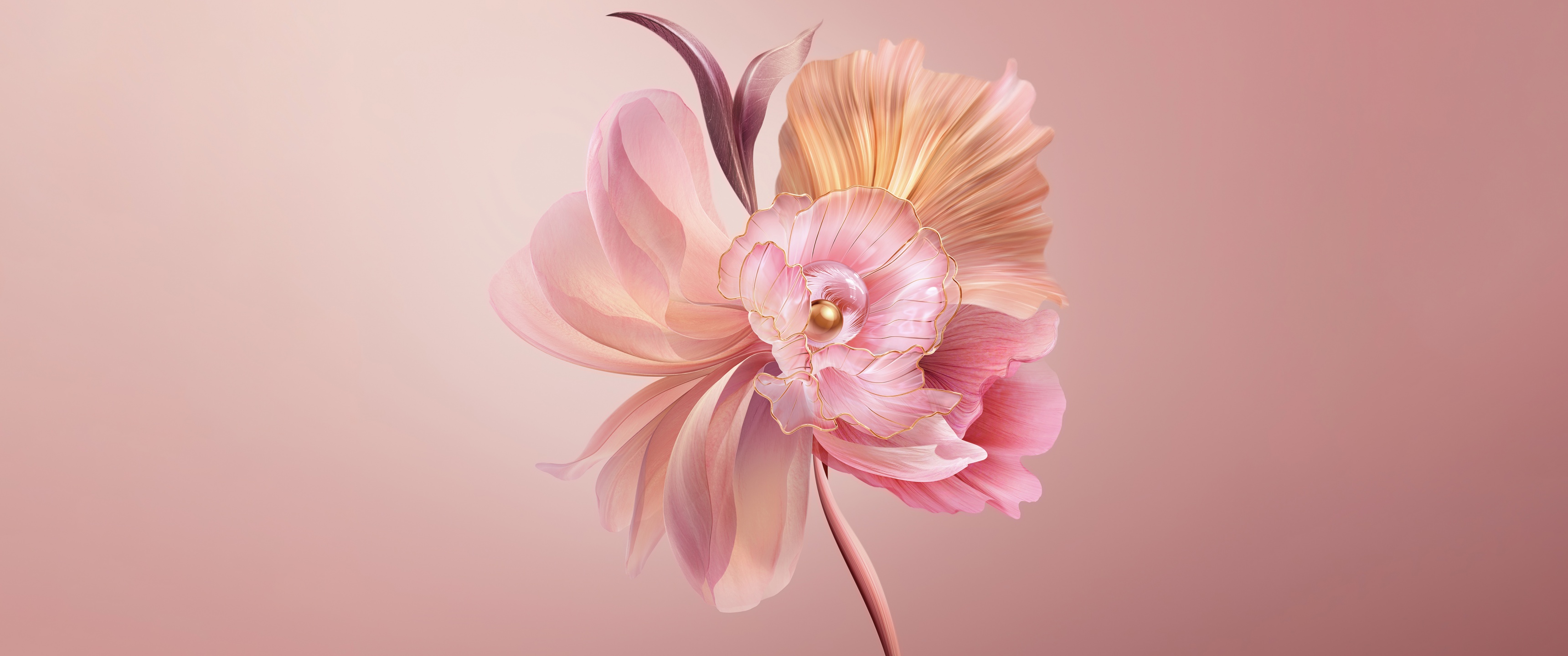 Bright Flower Wallpaper Lotus HD 1080p