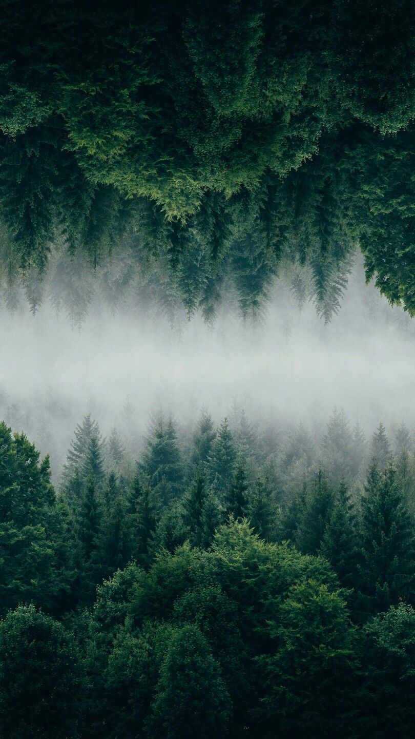Wallpaper For Android iPhone