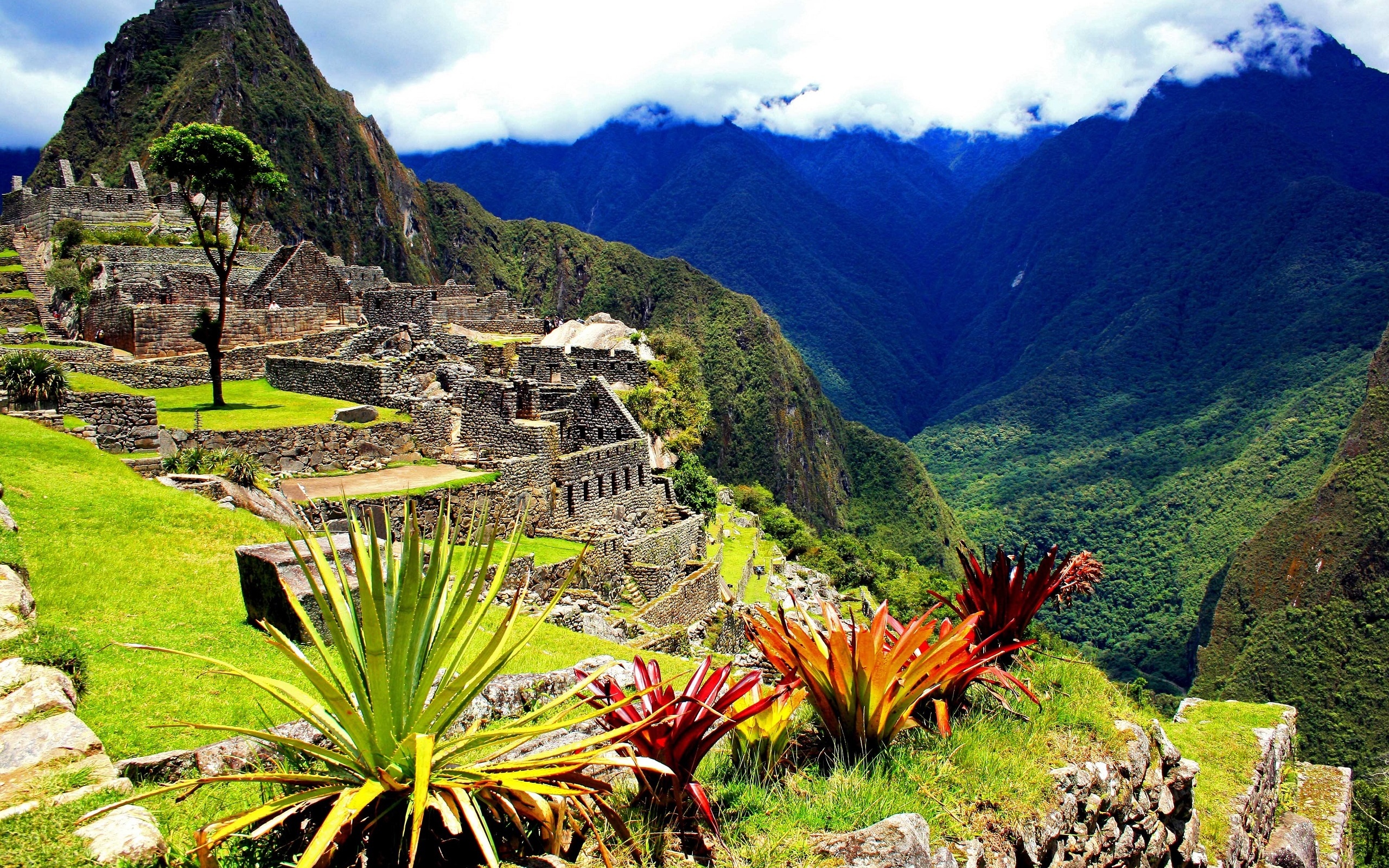 Qap Machu Picchu Wallpaper Widescreen