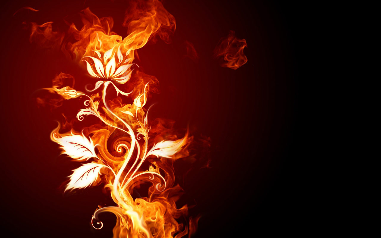 Fire Flower Puter Desktop Wallpaper Pictures Image