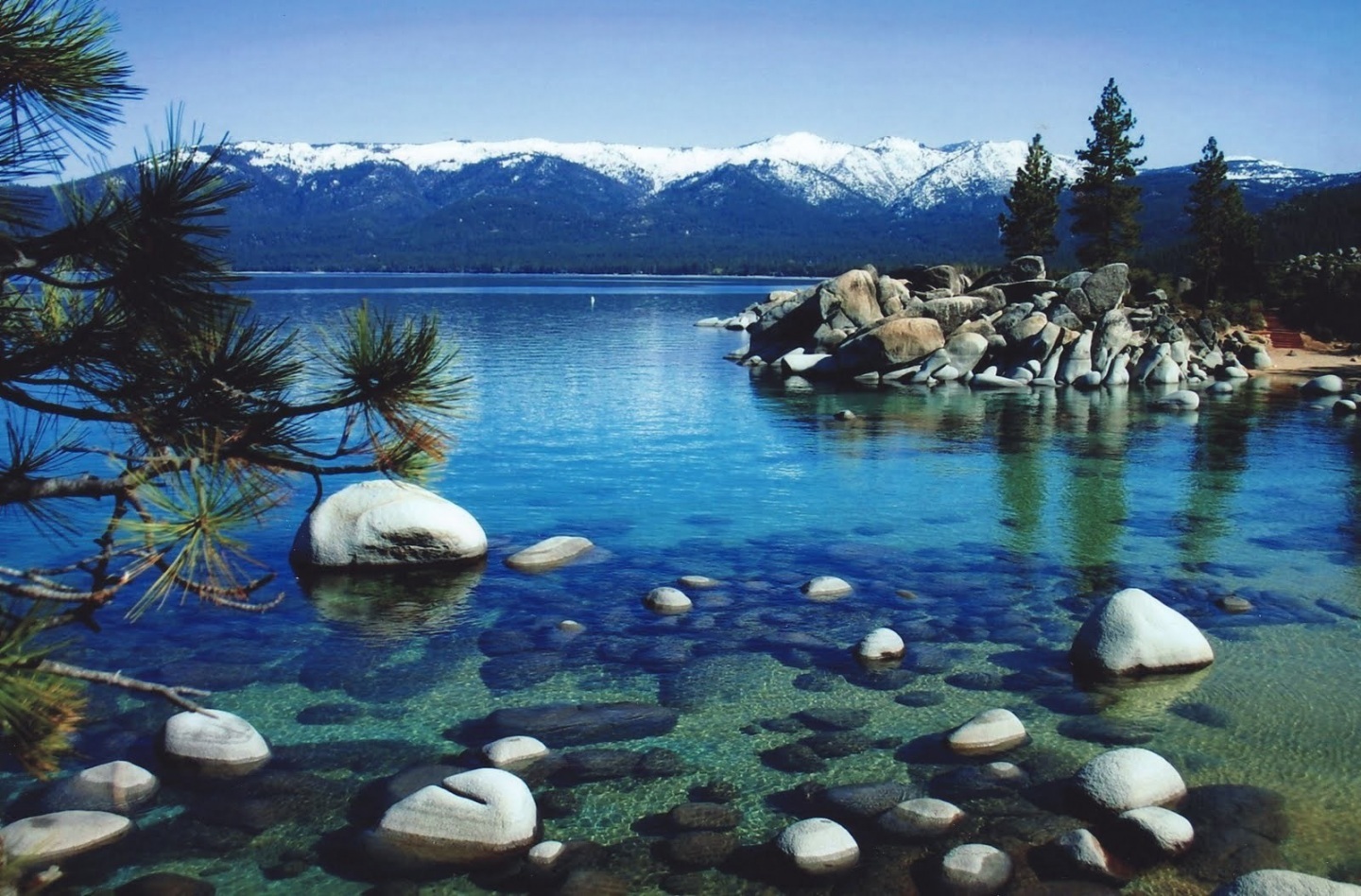 Lake Tahoe Winter Micky
