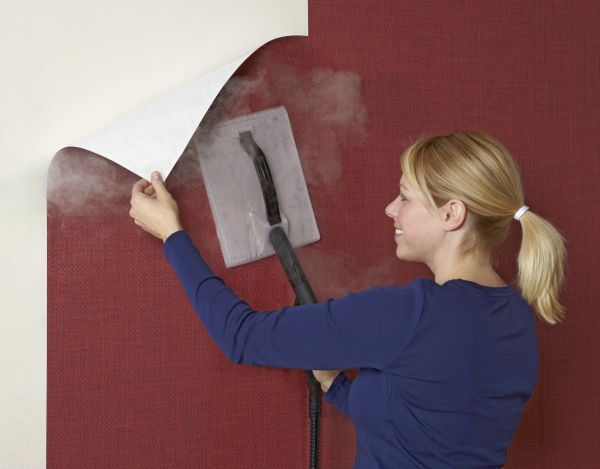 Wallpaper Steamer If You Can Afford To Buy More Tools Then