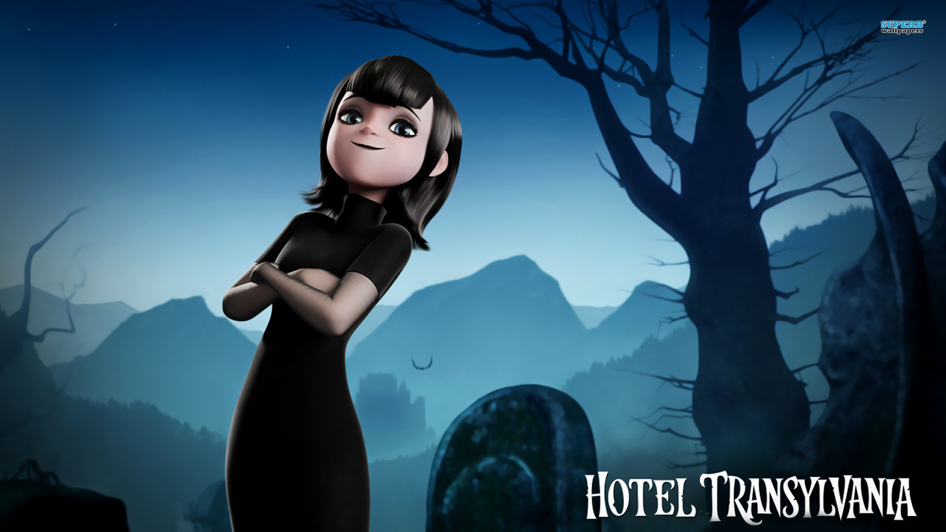Hotel Transylvania Re A Film Ation