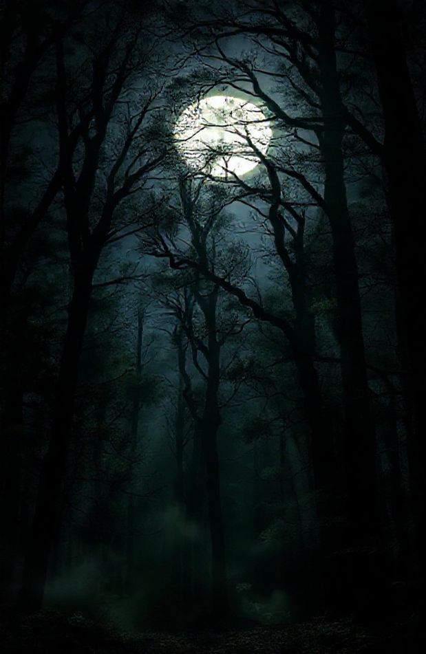 Dark Forest With Moon Wallpaper