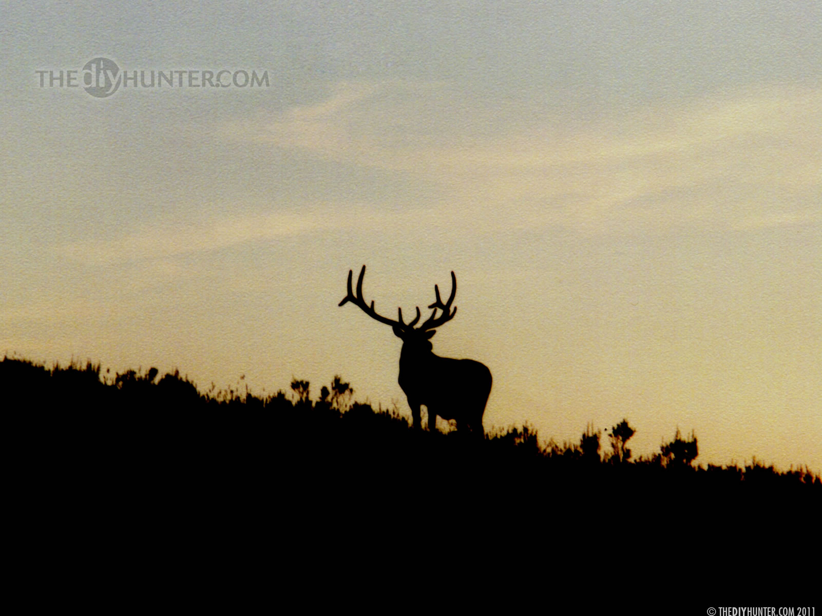 Displaying Image For Browning Logo Buck And Doe Wallpaper
