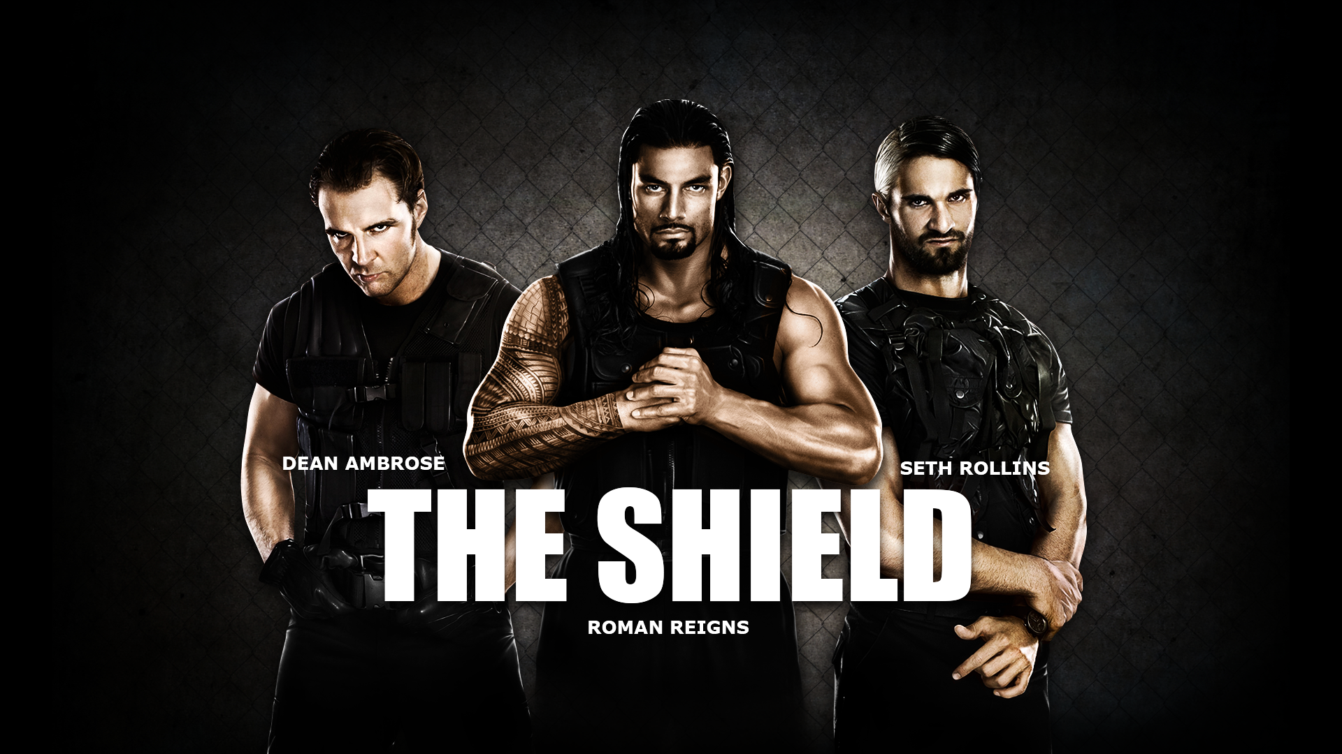 The Shield Wallpaper by Mequ on
