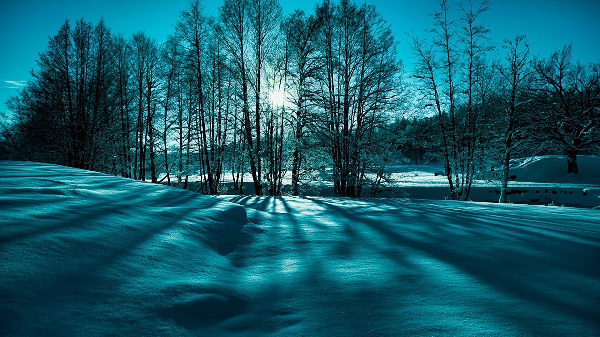 Fantastic Winter Scene In Monochrme HD Desktop Background