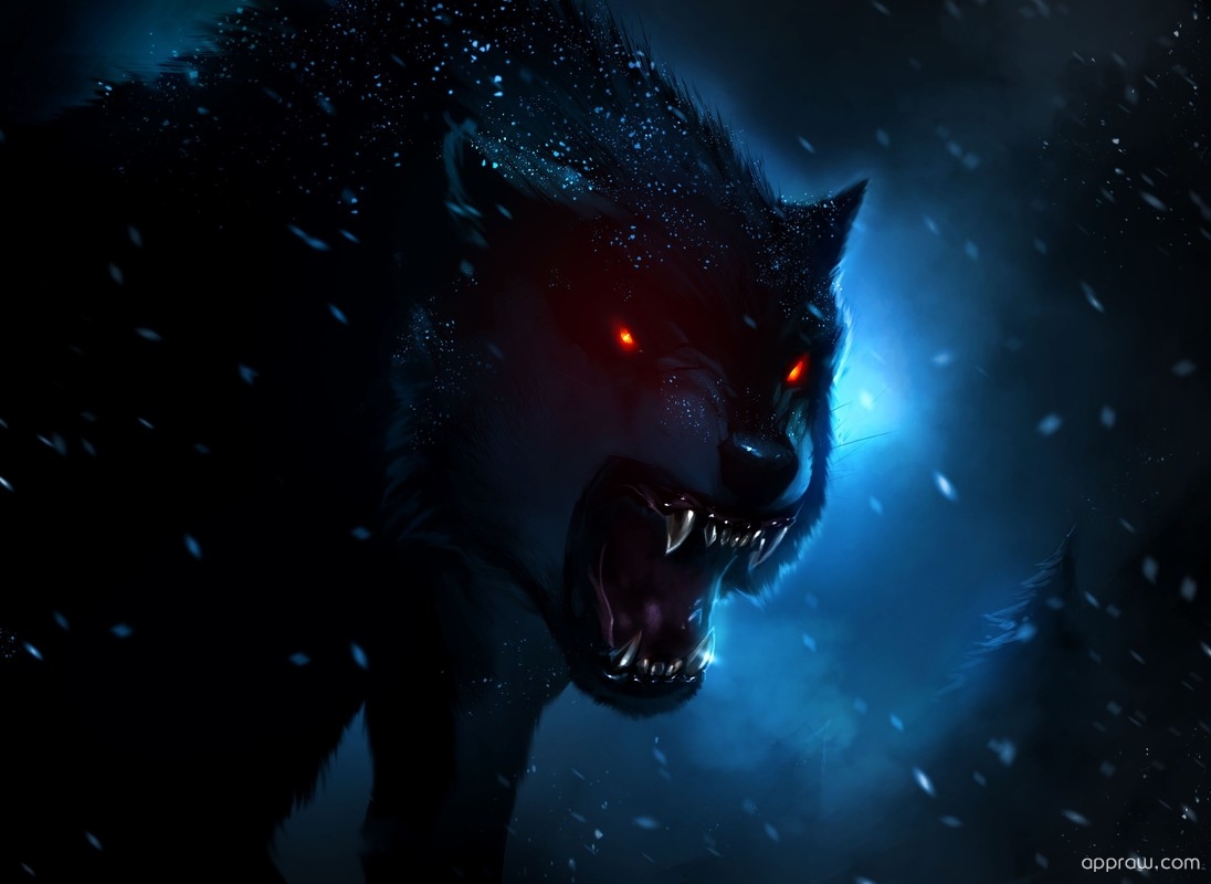 Dark Wolf Wallpaper HD Appraw