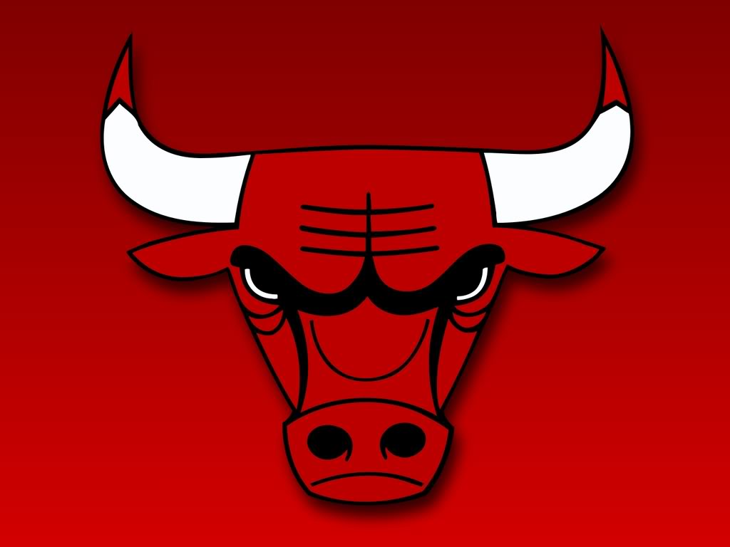 chicago bulls logo   Large Images