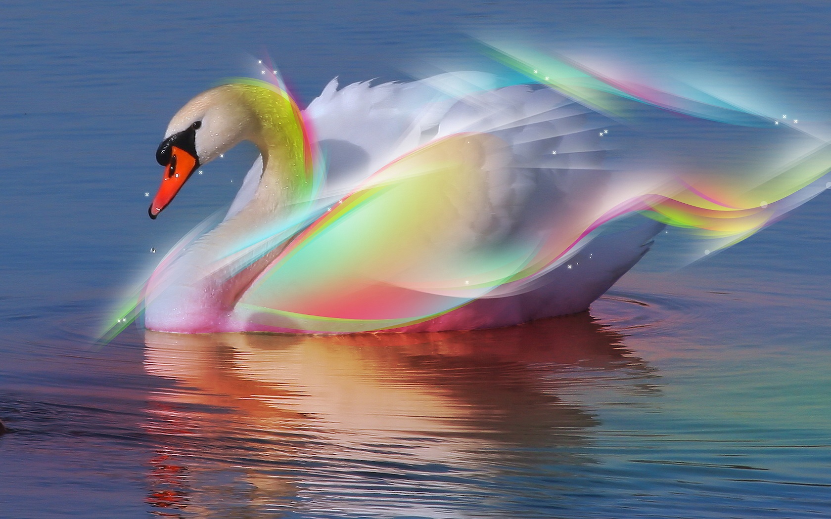 Rainbow Swan Wallpaper Desktop iPad Background In