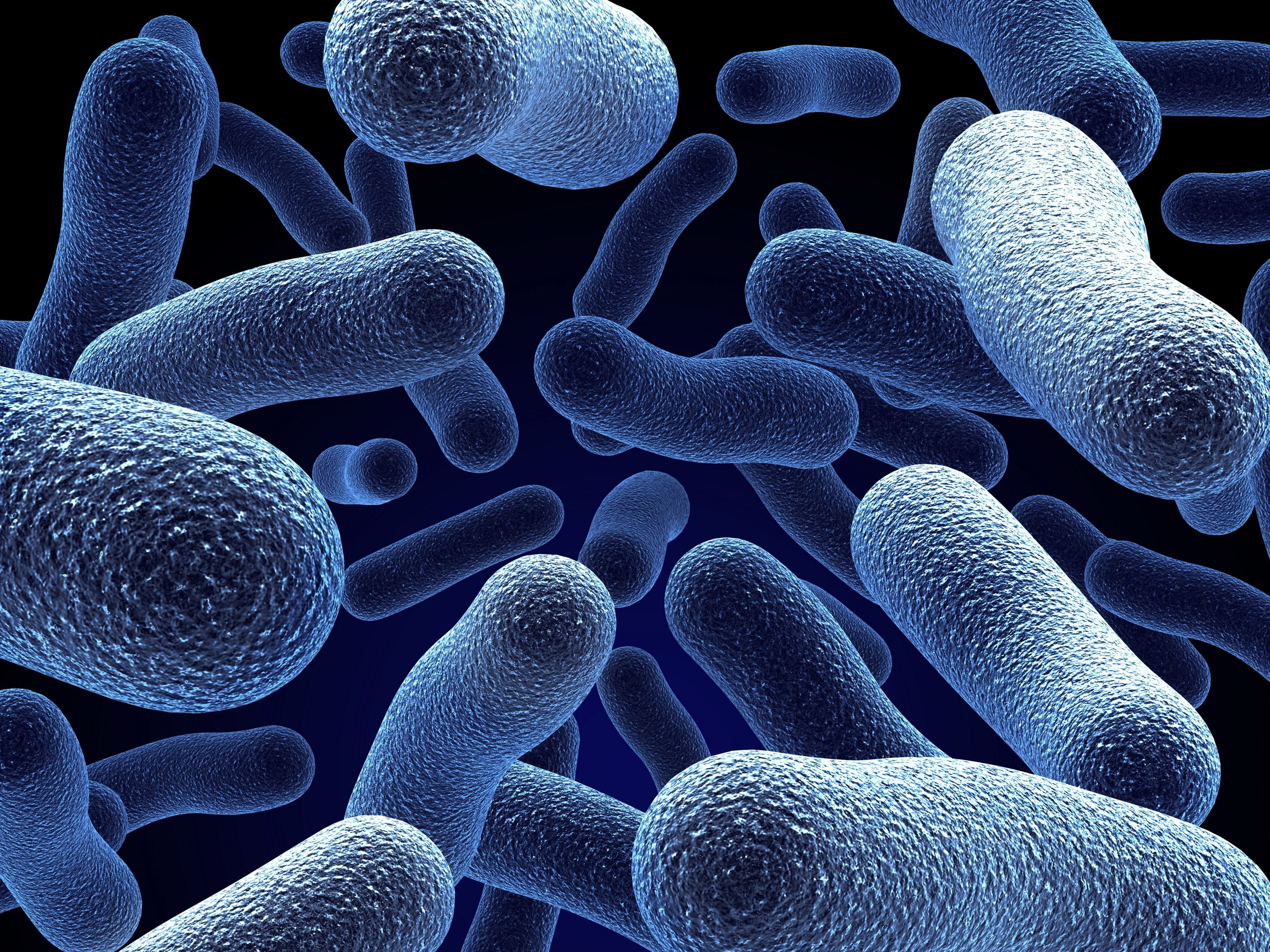 Best Microbes Wallpaper