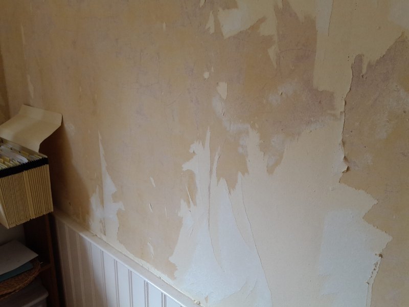 diy wall paper removal 800x600