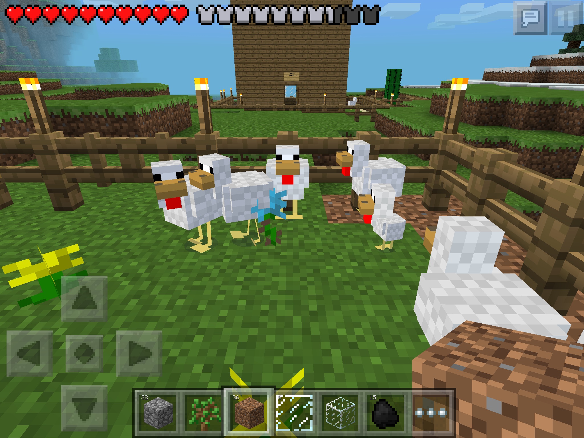 Chickens Hang Out At My Chicken Farm Minecraft Pocket Edition