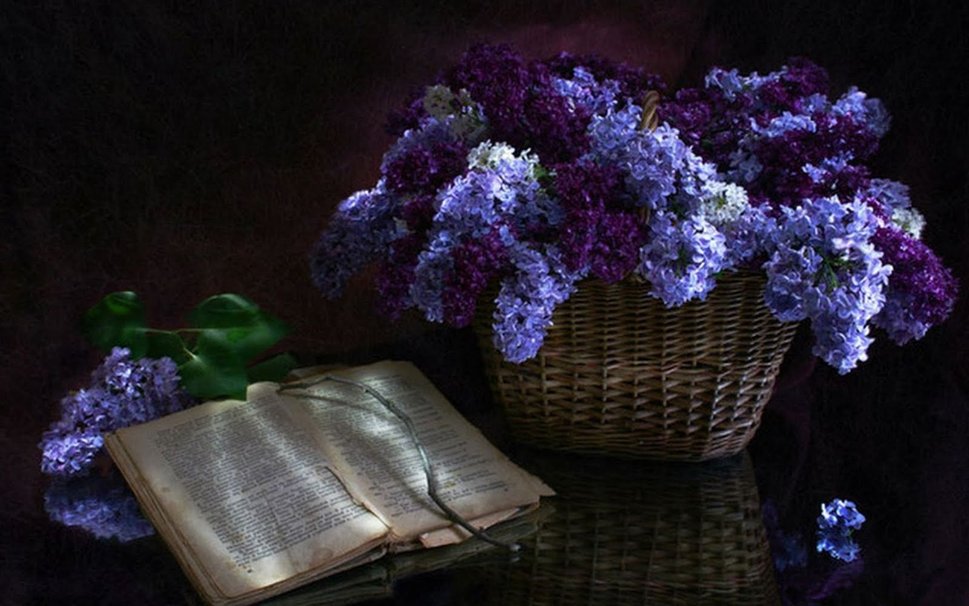 Lilac Tree Wallpaper Basket of Lilac Wallpaper