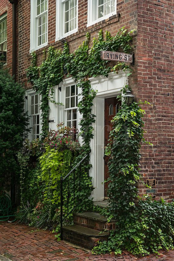 Ivy Perfection Exteriors Townhouse And Brick