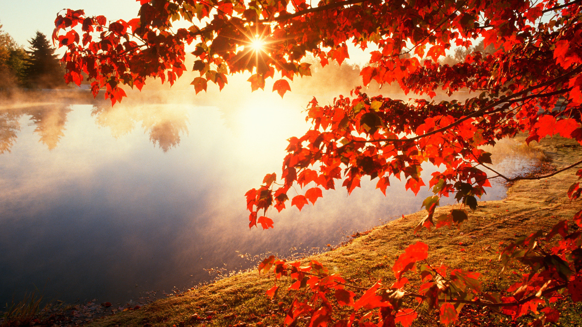Featured image of post Autumn Wallpaper Hd For Pc Autumn river wallpaper for pc