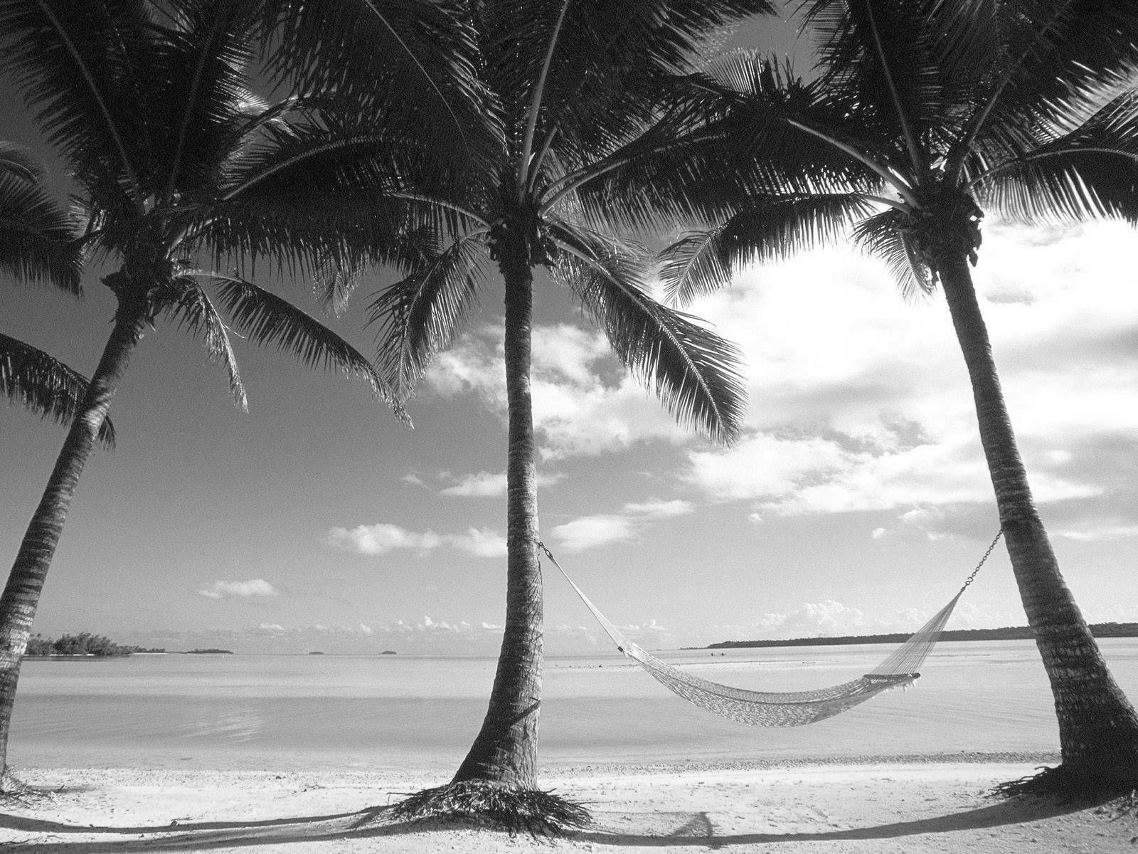 Black And White Photos Google Search Beach Landscape