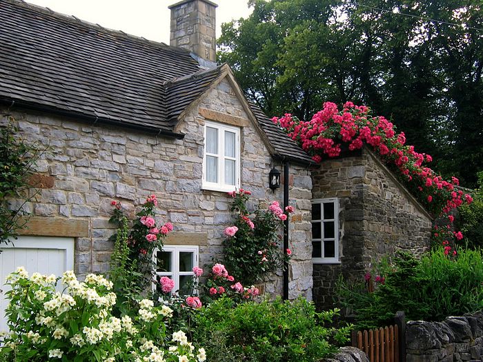 Roses Cottage Garden In Tissington Derbyshire