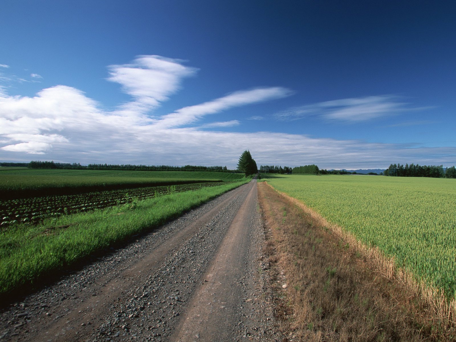 Country Road Through The Field Wallpaper Places
