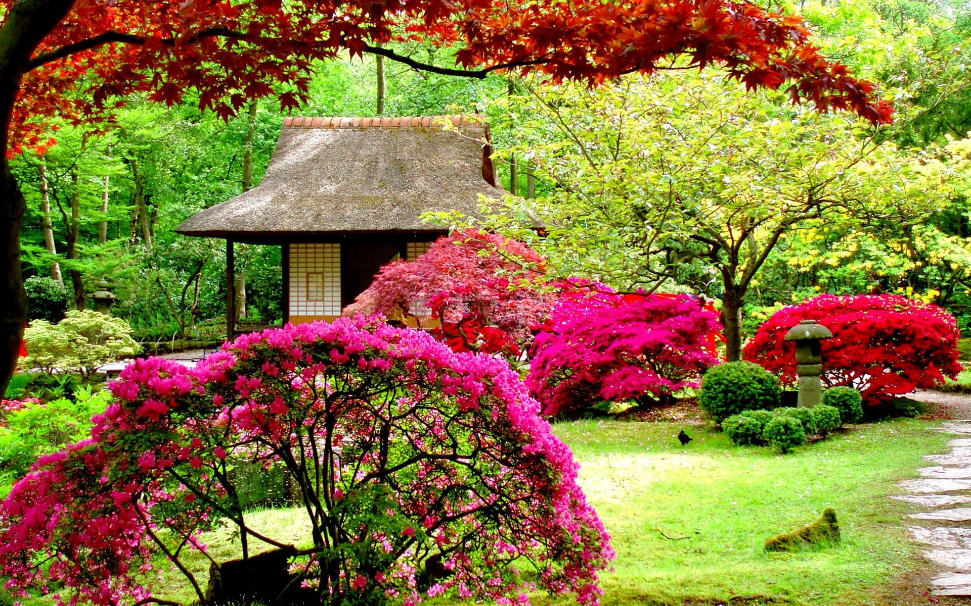 45 Most Beautiful Garden Wallpapers   Download at WallpaperBro