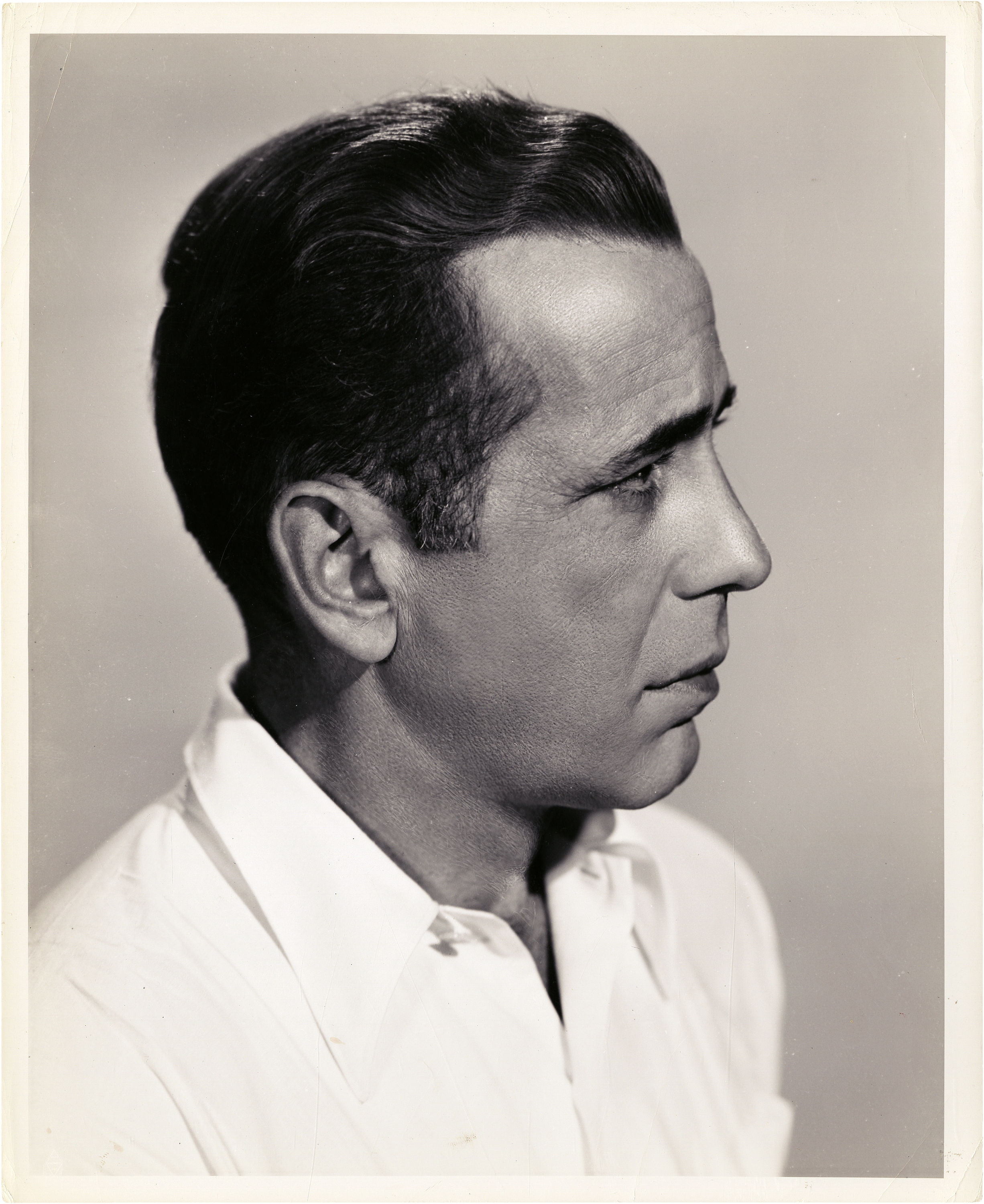 Wallpaper Film Picturess Humphrey Bogart Actress