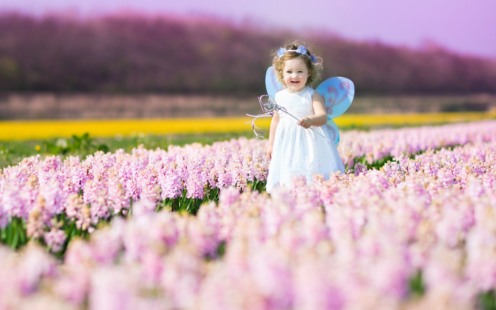 Cute Baby In Spring Flower Field Image New HD Wallpaper