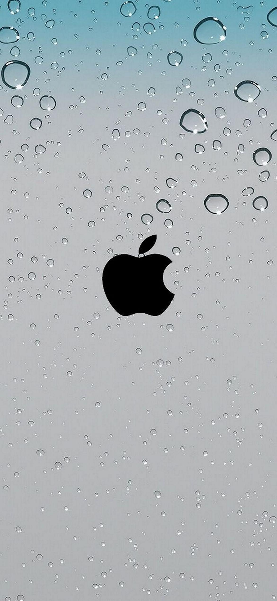 Wallpaper