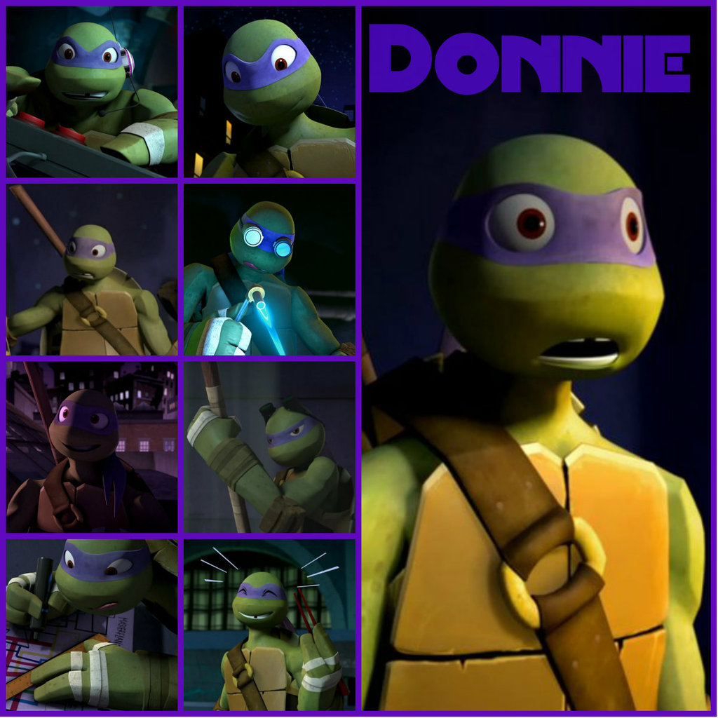 Tmnt Donnie Collage By Culinary Alchemist