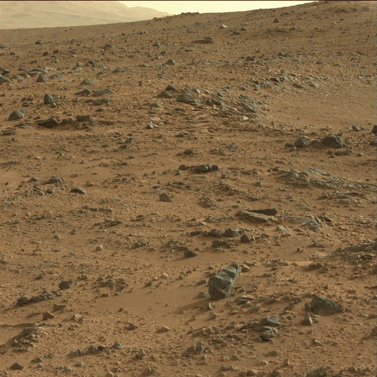 Nasa S Mars Rover Curiosity Acquired This Image Using Its Mast Camera