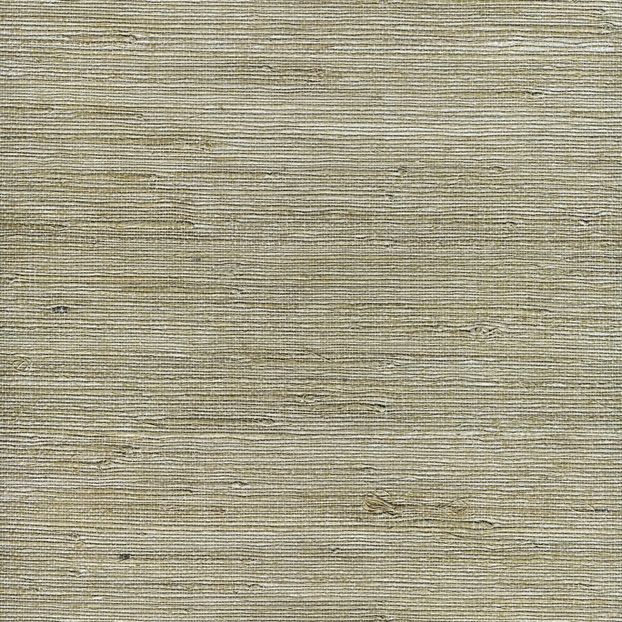 Shop Allen Roth White Grasscloth Unpasted Textured Wallpaper At