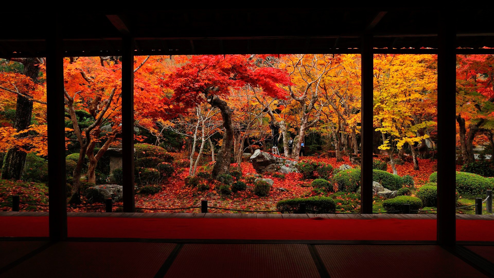 Gorgeous Autumn Enkoji Temple Wallpaper