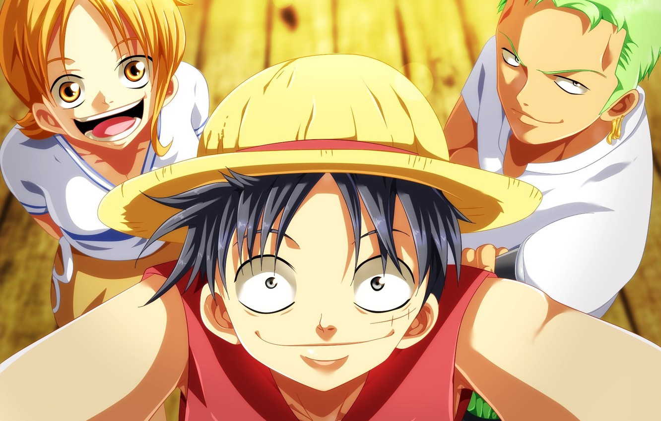Wallpaper girl game One Piece pirate hat smile anime man