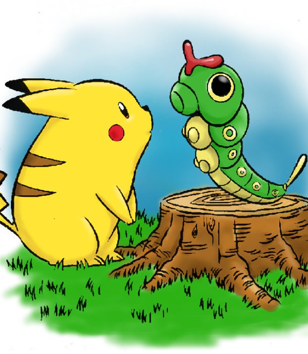 Pidgeotto Pokemon Wallpaper Image