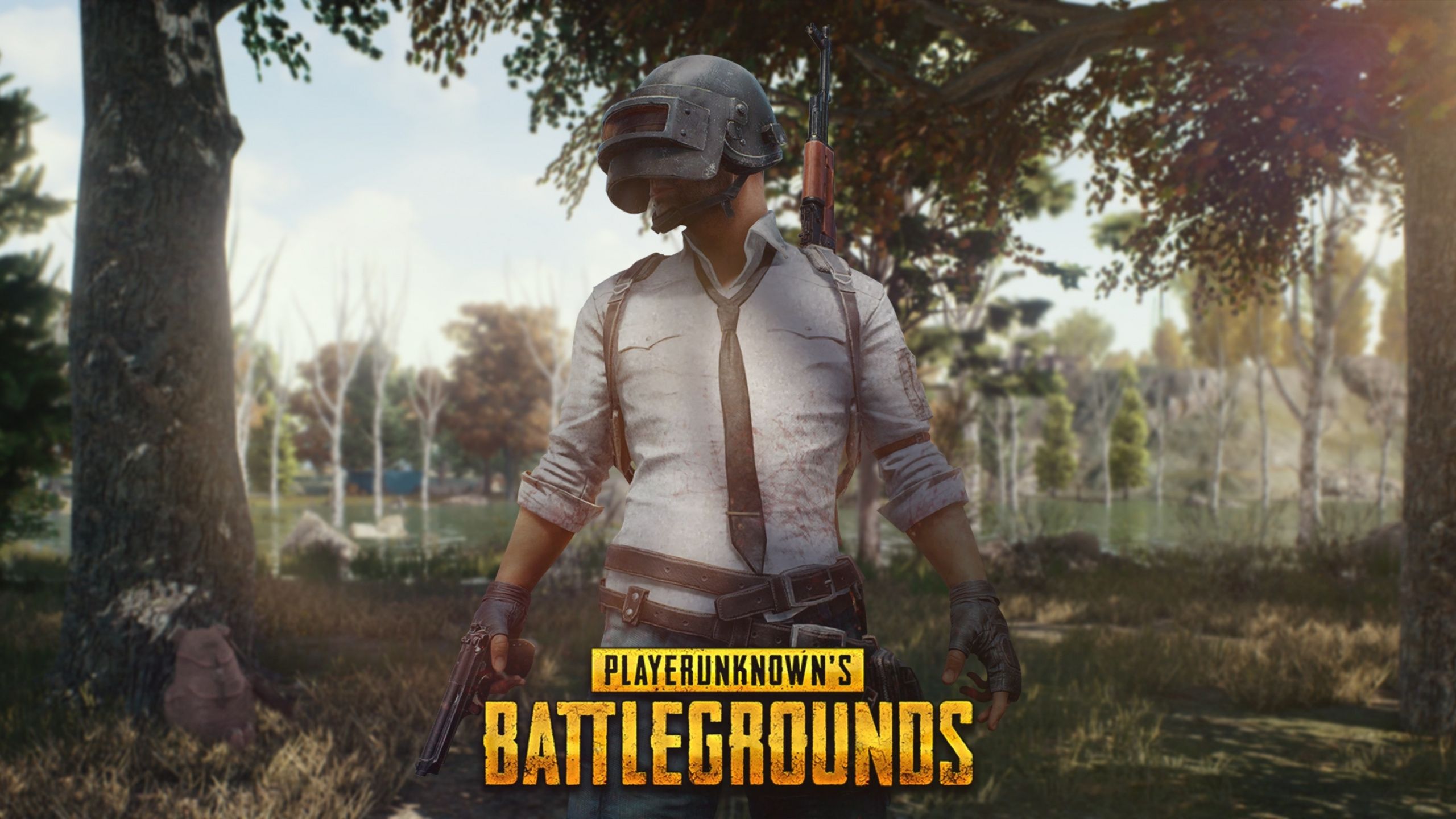 Pubg Wallpaper