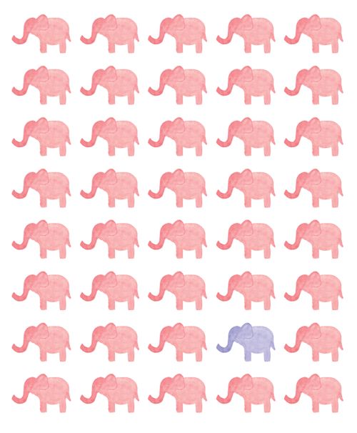Elephant Mobile Wallpaper And Background