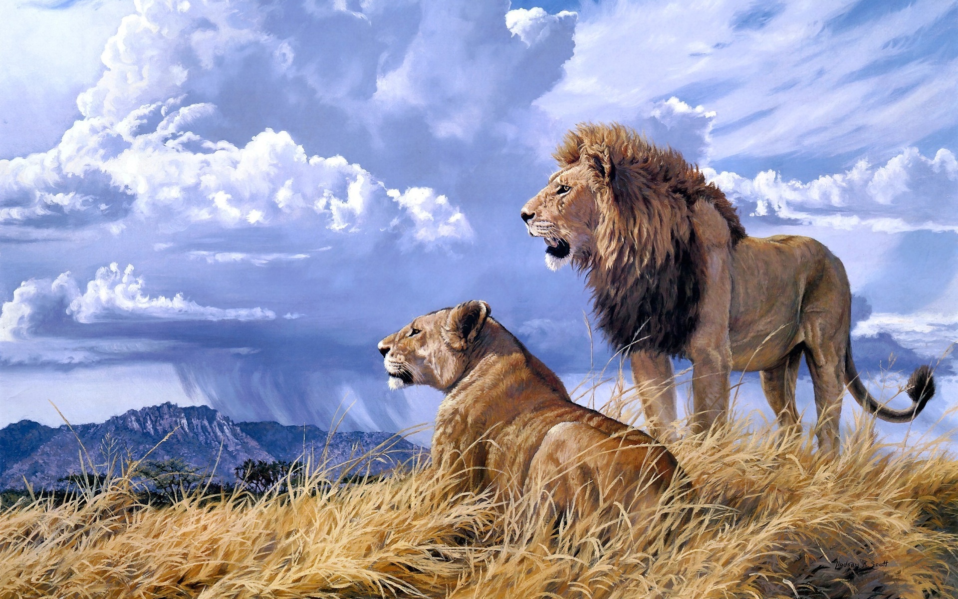 Animals Cats Lion Painting Art Landscape Nature Wildlife Africa Grass
