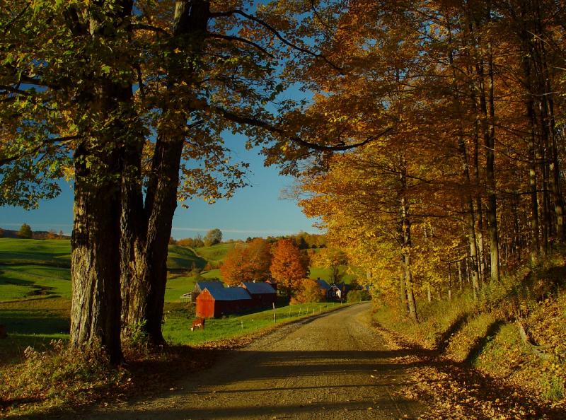 Vermont Fall Farm Scenery Pictures Dopepicz