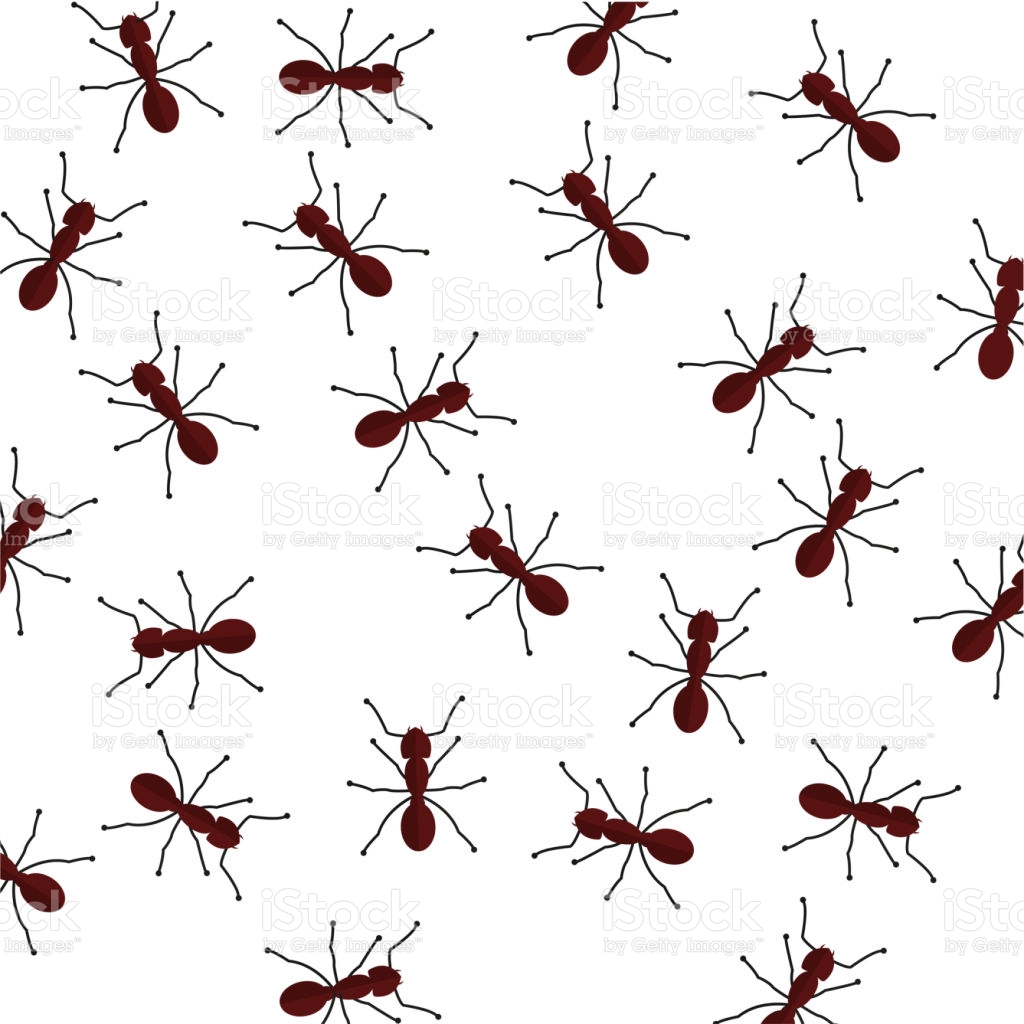 Free download Seamless Crawling Ants Background Stock Illustration