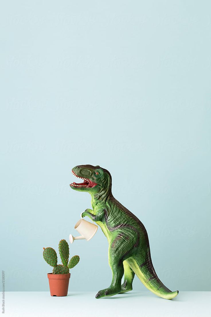 Dinosaur Gardening By Ruth Black Photography